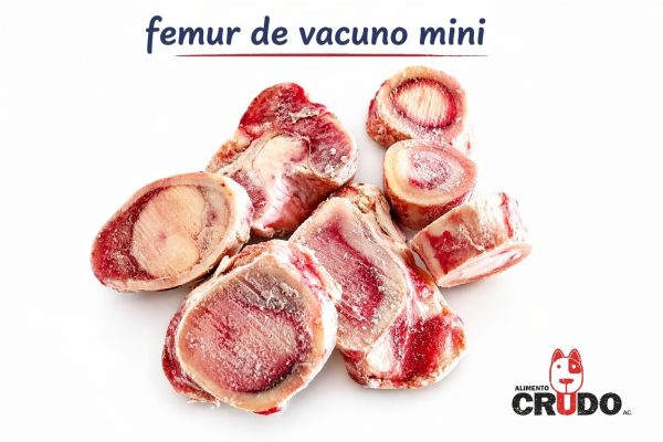 HUESO FEMUR DE VACUNO (MINI)