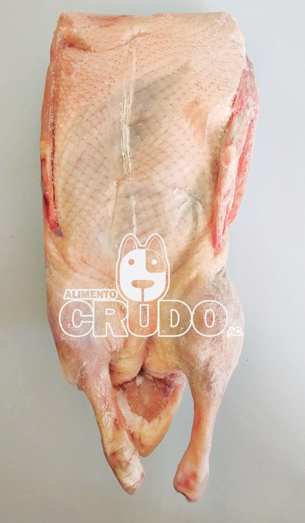 PATO SIN MENUDENCIAS 1950GR (2KG)